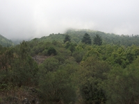 nte Cagliato-20111114 024
